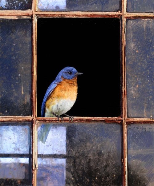 Garden, Home and Party: Spring Summer