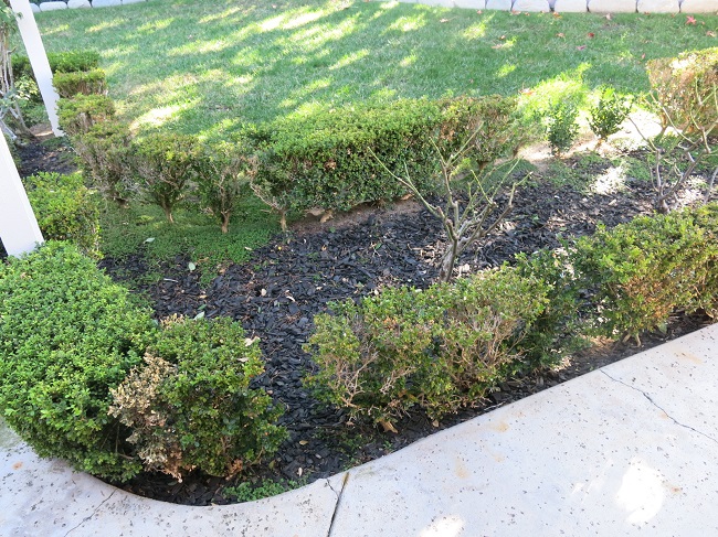 Garden, Home and Party: patio garden change