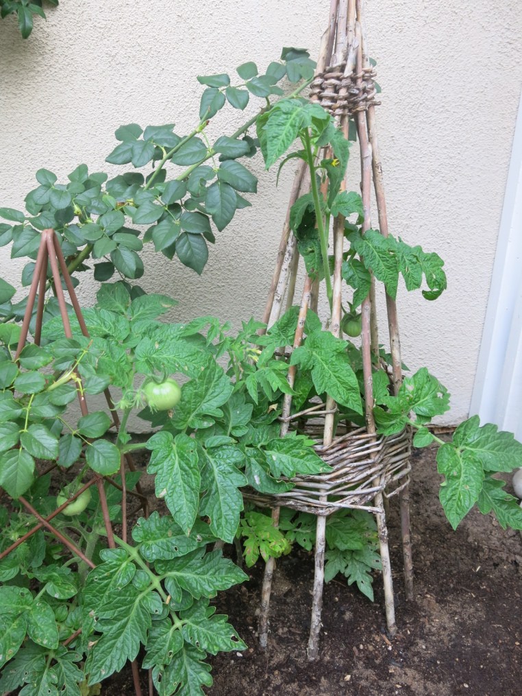 Garden, Home and Party: Summer's End