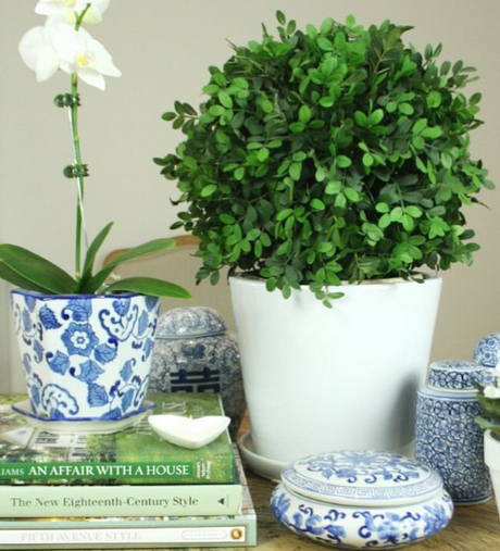 Garden, Home and Party: accessories; books