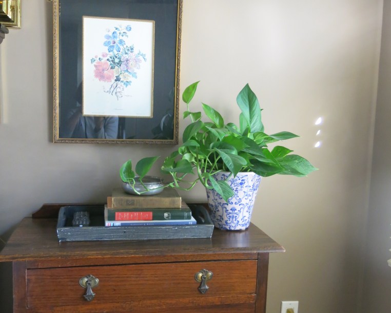 Garden, Home and Party: Autumn Flora