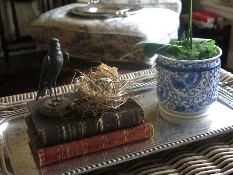 Garden, Home and Party: Audubon Park